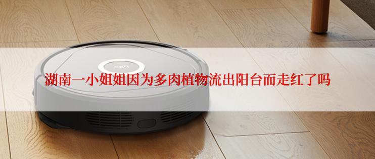 湖南一小姐姐因为多肉植物流出阳台而走红了吗