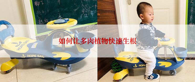 如何让多肉植物快速生根