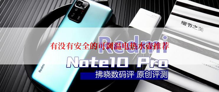 有没有安全的可调温电热水壶推荐