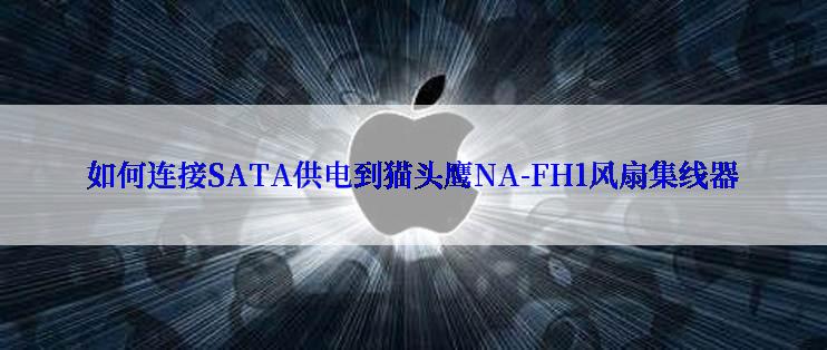 如何连接SATA供电到猫头鹰NA-FH1风扇集线器