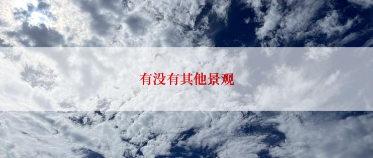有没有其他景观