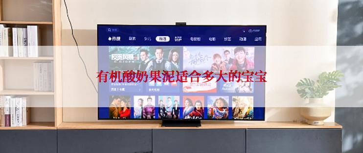 有机酸奶果泥适合多大的宝宝