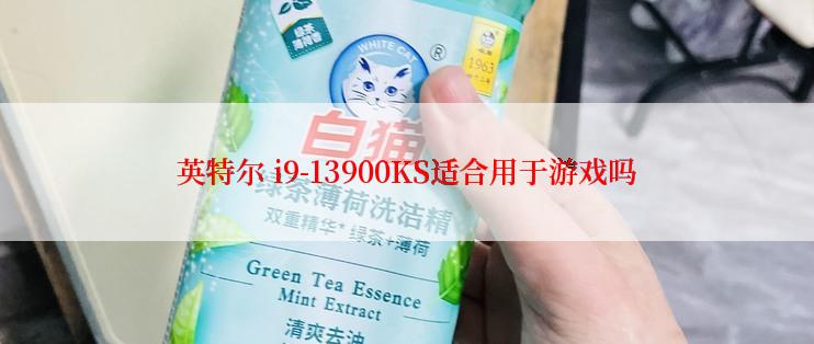 英特尔 i9-13900KS适合用于游戏吗