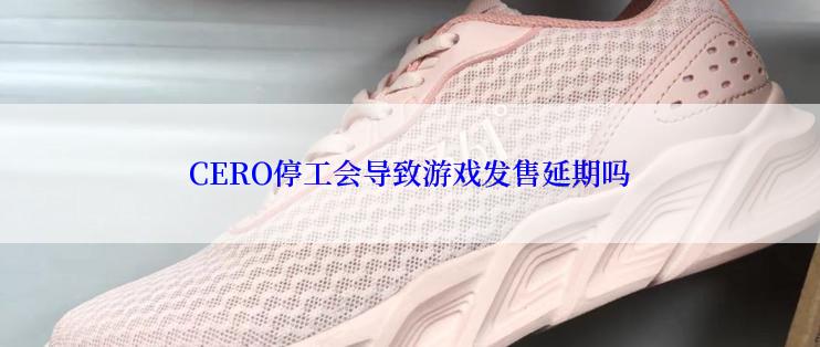 CERO停工会导致游戏发售延期吗