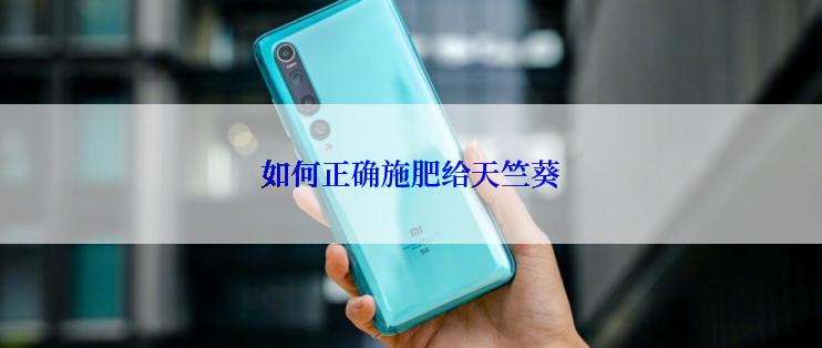 如何正确施肥给天竺葵