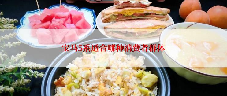 宝马5系适合哪种消费者群体