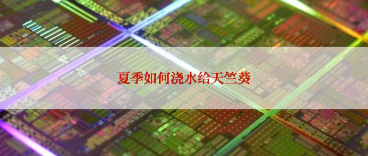 夏季如何浇水给天竺葵