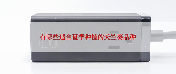 有哪些适合夏季种植的天竺葵品种