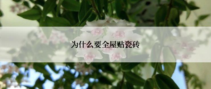为什么要全屋贴瓷砖