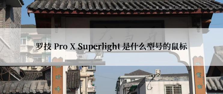 罗技 Pro X Superlight 是什么型号的鼠标