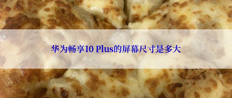 华为畅享10 Plus的屏幕尺寸是多大