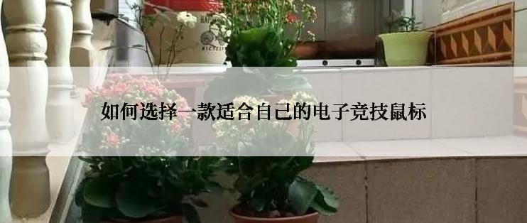 如何选择一款适合自己的电子竞技鼠标