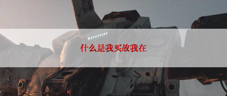 什么是我买故我在