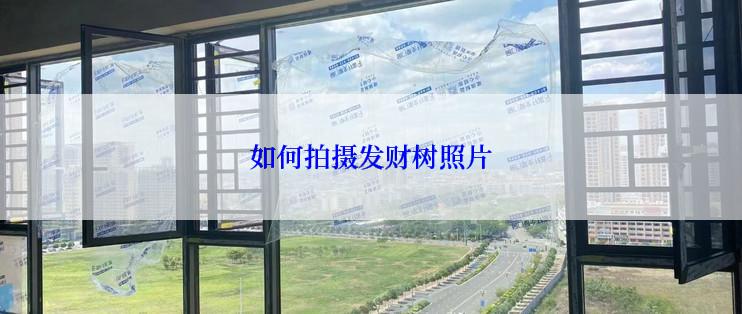 如何拍摄发财树照片