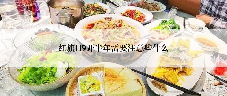 红旗H9开半年需要注意些什么