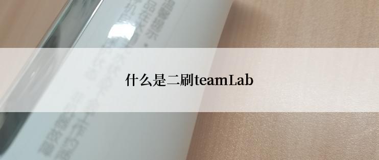 什么是二刷teamLab