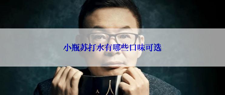 小瓶苏打水有哪些口味可选