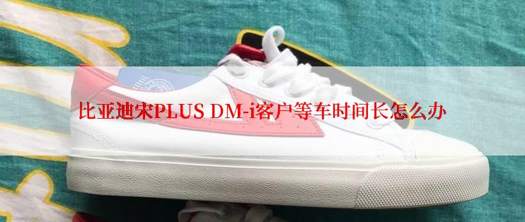 比亚迪宋PLUS DM-i客户等车时间长怎么办