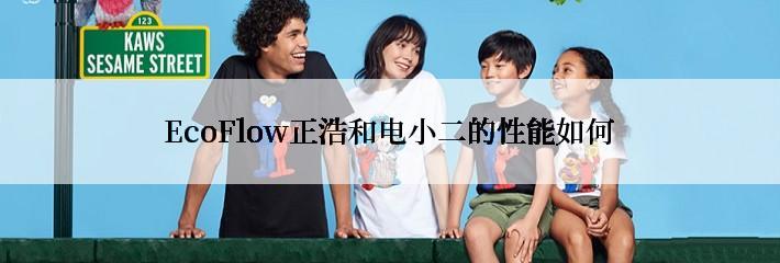 EcoFlow正浩和电小二的性能如何