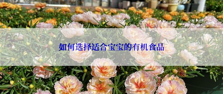 如何选择适合宝宝的有机食品