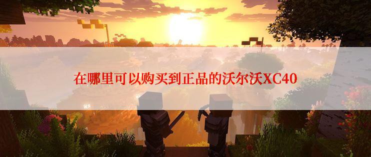 在哪里可以购买到正品的沃尔沃XC40