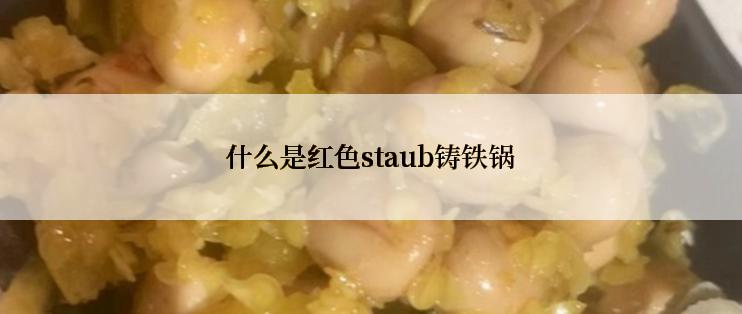 什么是红色staub铸铁锅