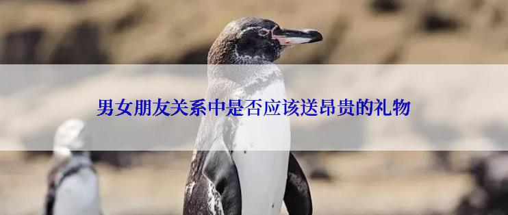 男女朋友关系中是否应该送昂贵的礼物