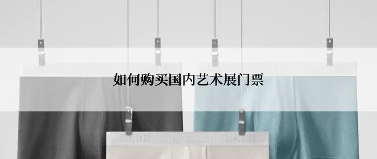 如何购买国内艺术展门票