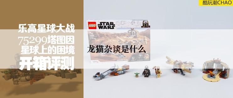 龙猫杂谈是什么