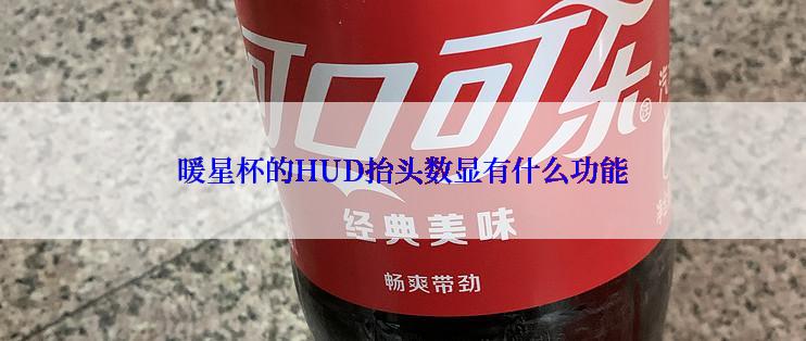 暖星杯的HUD抬头数显有什么功能