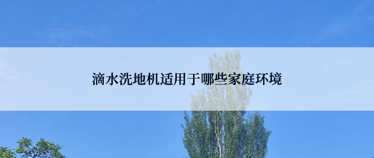 滴水洗地机适用于哪些家庭环境