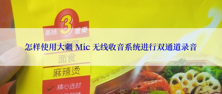 怎样使用大疆 Mic 无线收音系统进行双通道录音