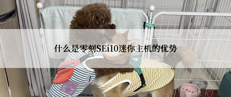 什么是零刻SEi10迷你主机的优势