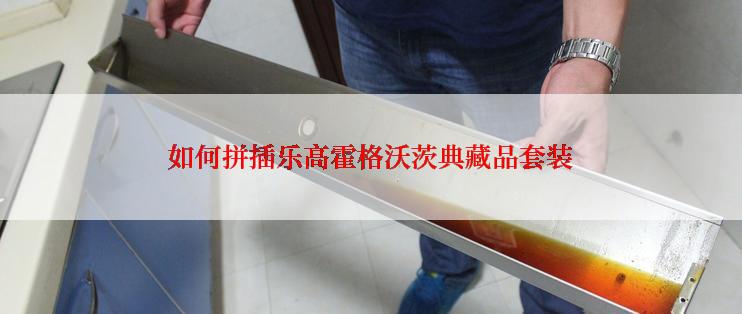 如何拼插乐高霍格沃茨典藏品套装