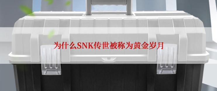 为什么SNK传世被称为黄金岁月