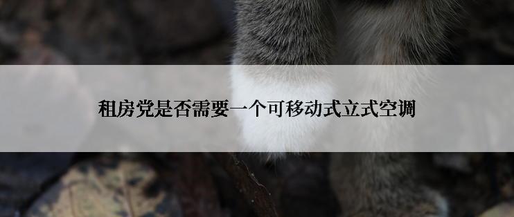 租房党是否需要一个可移动式立式空调