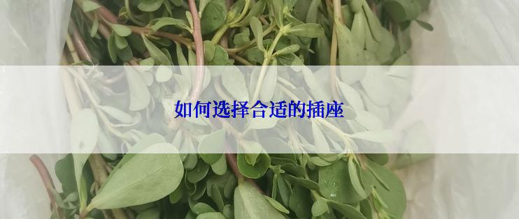如何选择合适的插座