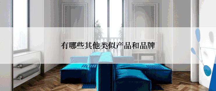 有哪些其他类似产品和品牌