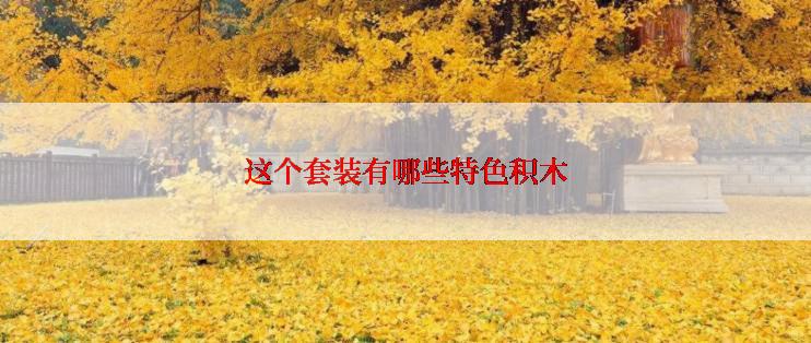 这个套装有哪些特色积木