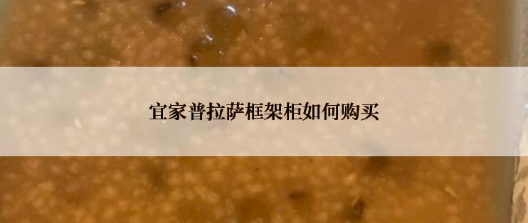 宜家普拉萨框架柜如何购买