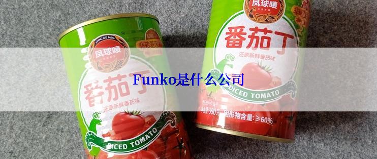 Funko是什么公司
