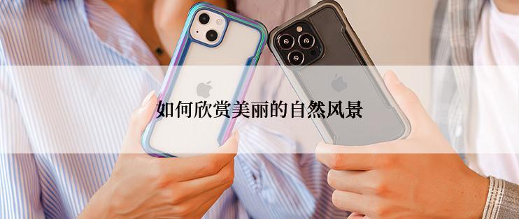 如何欣赏美丽的自然风景