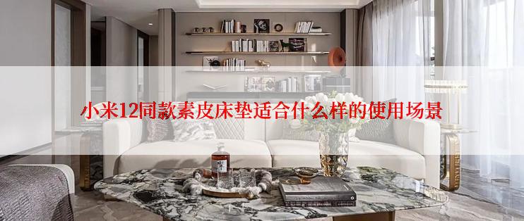 小米12同款素皮床垫适合什么样的使用场景