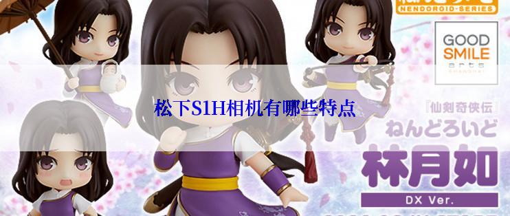 松下S1H相机有哪些特点
