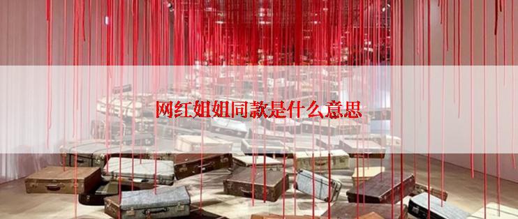 网红姐姐同款是什么意思