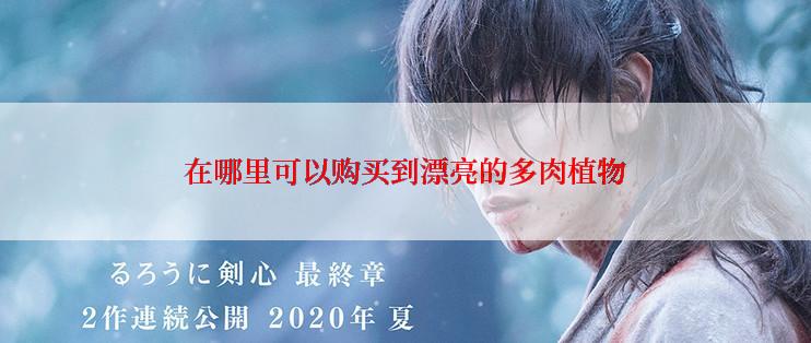 在哪里可以购买到漂亮的多肉植物