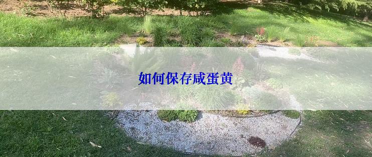 如何保存咸蛋黄