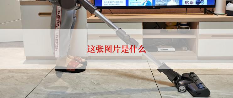 这张图片是什么