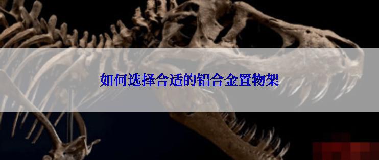 如何选择合适的铝合金置物架