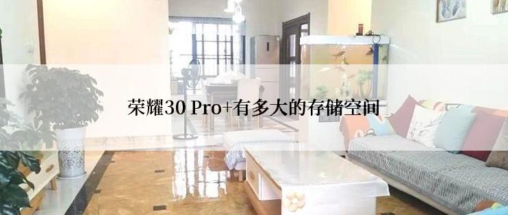 荣耀30 Pro+有多大的存储空间